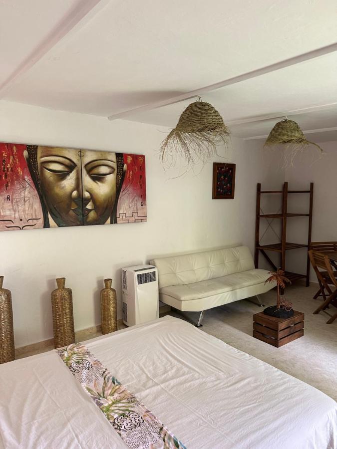 Hotel New Paradaise Art Gallery Xàtiva Exteriér fotografie